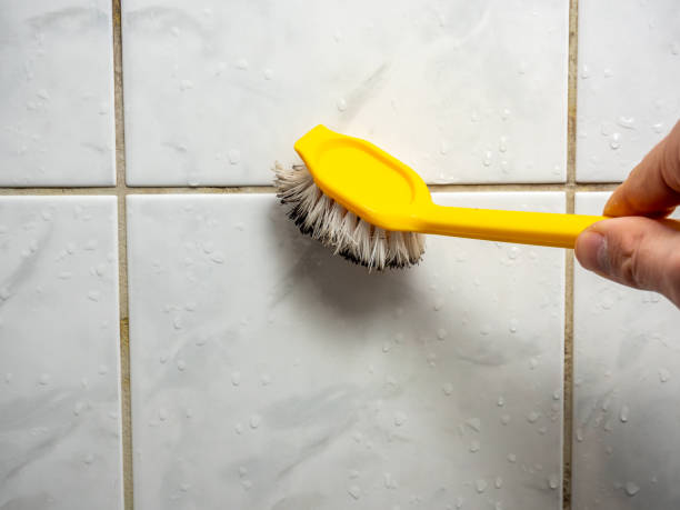Best Mold Testing  in Greenwood, AR