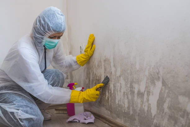 Greenwood, AR Mold Removal Company