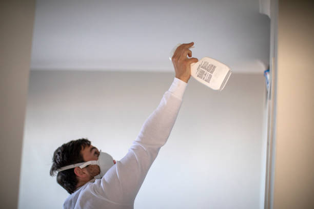 Best Certified Mold Removal  in Greenwood, AR