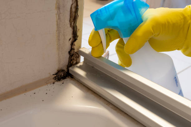 Mold Testing and Removal in Greenwood, AR