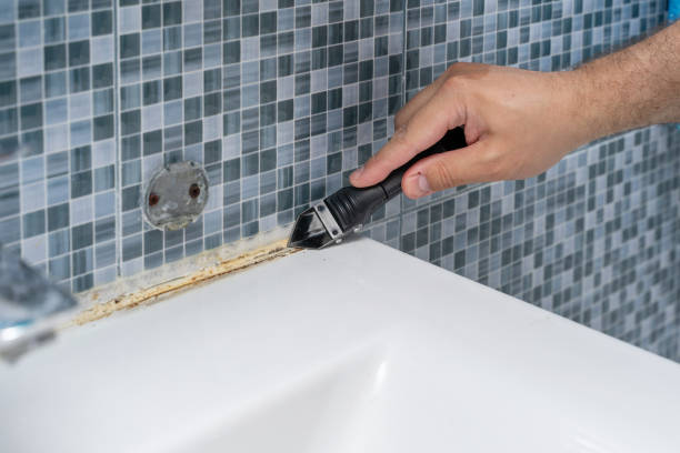 Best Mold Damage Repair  in Greenwood, AR