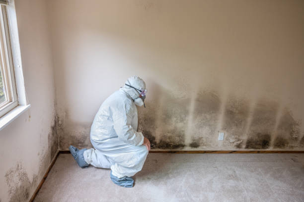 Best Residential Mold Removal  in Greenwood, AR